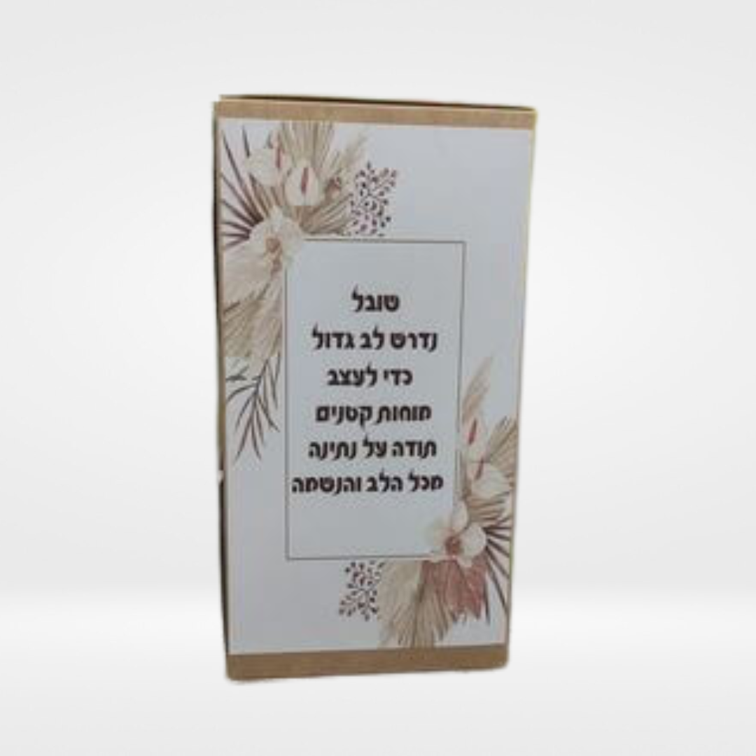 סט בישול דגם פריידי – תמונה 3
